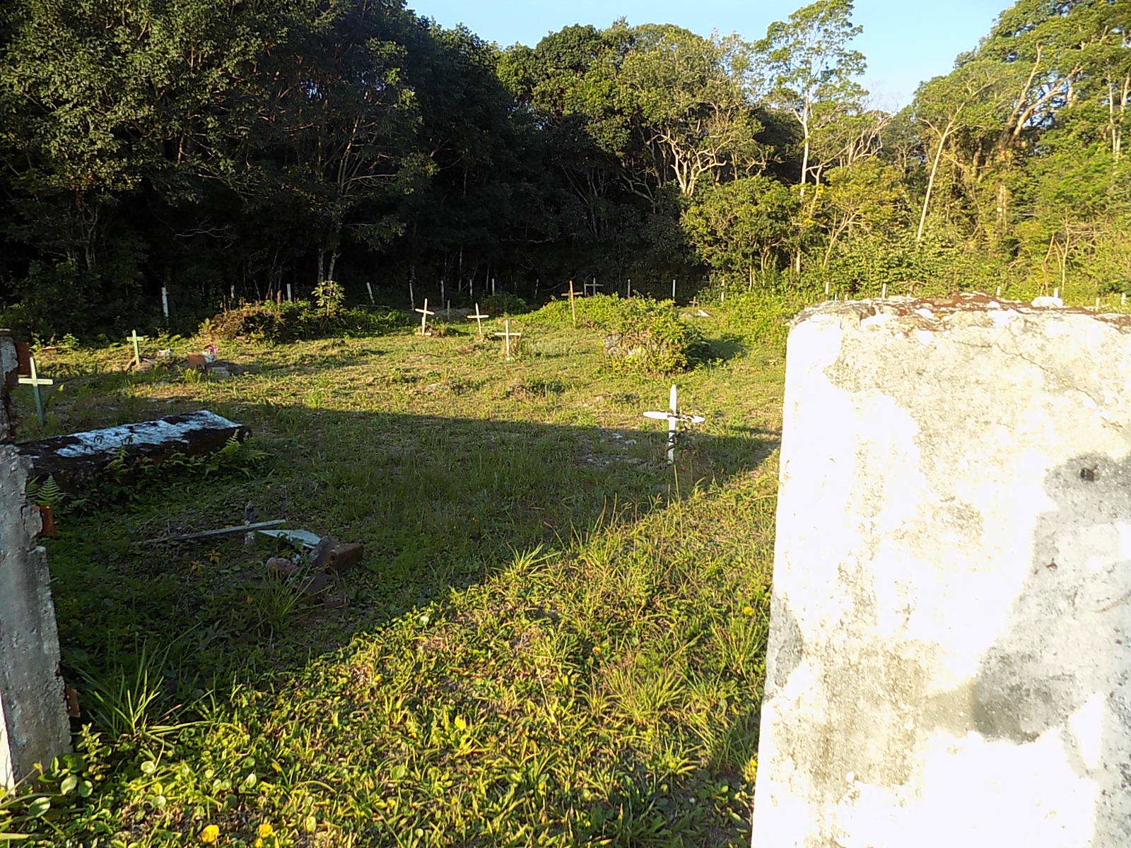 O Cemitério do Superagui